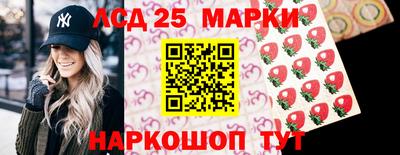 гидропоника Ивантеевка