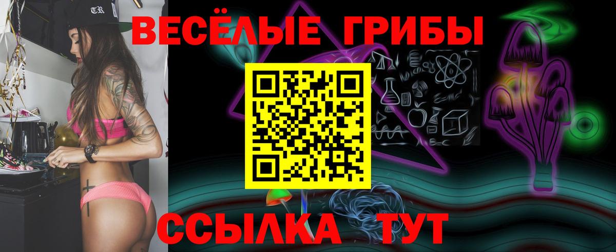 Псилоцибиновые грибы GOLDEN TEACHER Владивосток